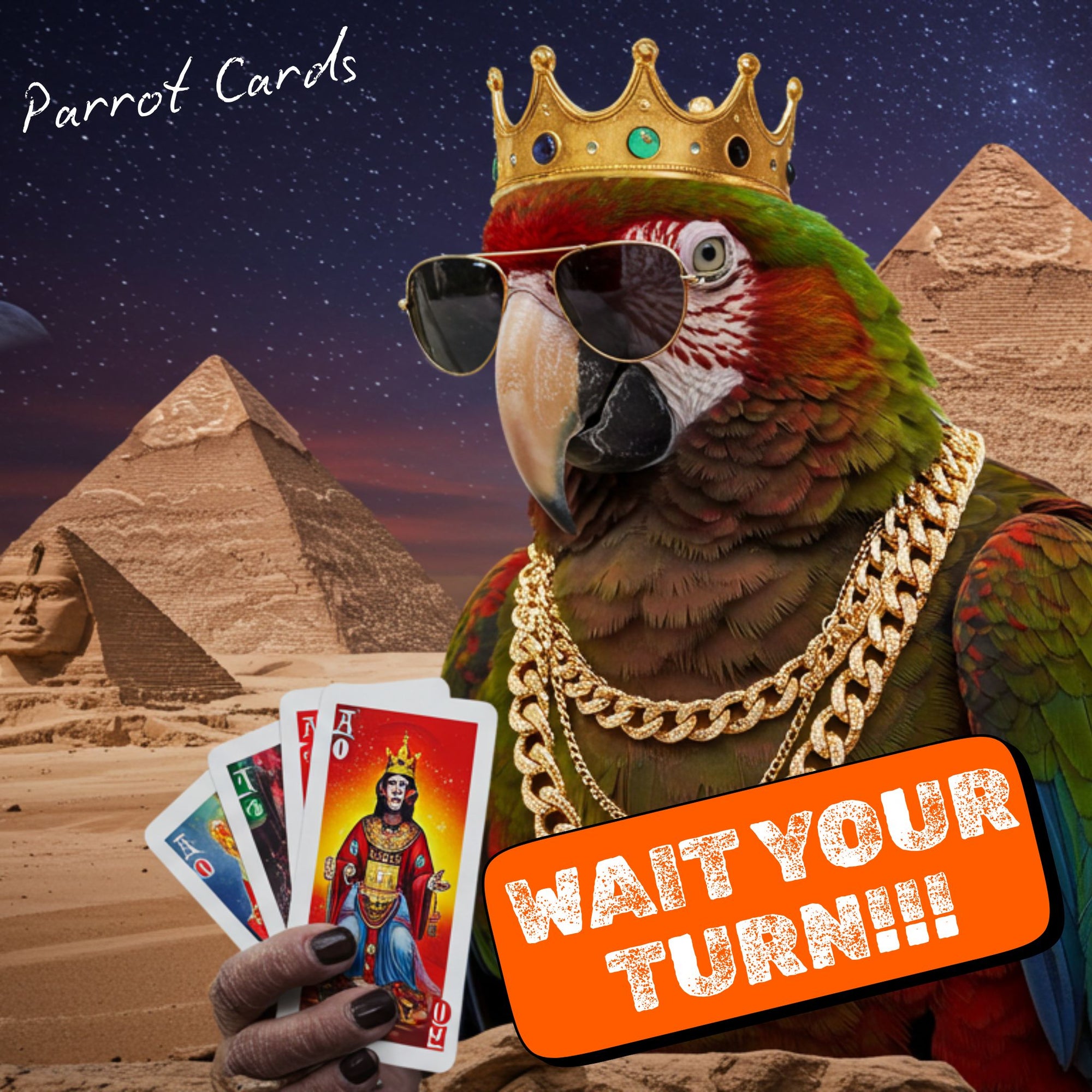 Punchline Bandit: Parrot Cards (Coming Soon)